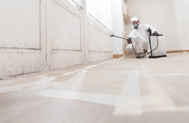 24/7 Emergency Basement Mold Removal experts in Rockton, PA